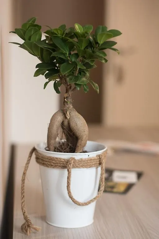 Guest house Bagnasco 18 Suite&Terrace Palermo